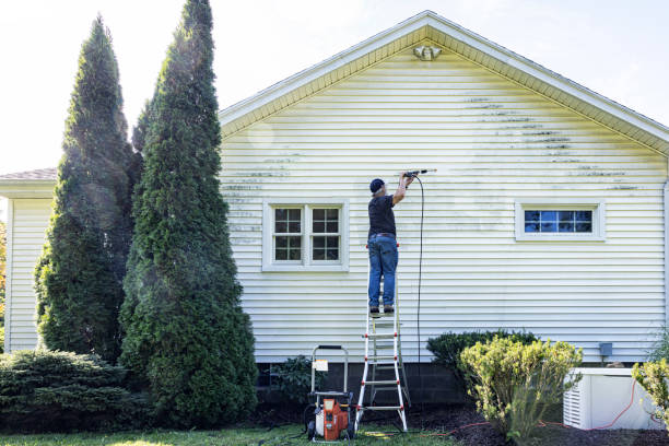 Best House Exterior Washing  in Mapleton, MN